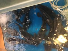 -粗粮人家·东北菜(洋桥店)