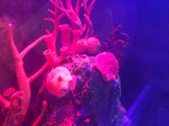 -沈阳海洋探索中心