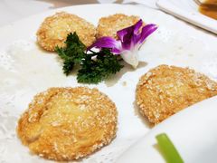 墨鱼饼-新享乐海鲜(翠华路店)