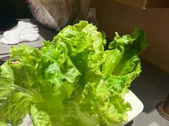 -海底捞火锅(方塔东街店)