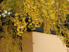 -无锡惠山寺