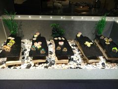 -格瑞欧海鲜自助烤肉火锅(光彩店)