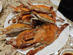 -禾斗海鲜自助(市南银座店)