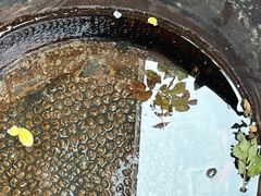 -瓦舍茶馆(聚源路店)