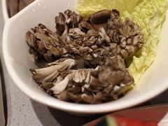 舞茸菌-海底捞火锅(公益西桥店)