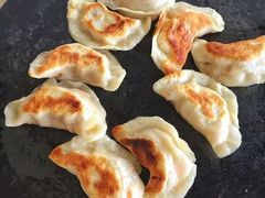 鲜菜猪肉煎饺-喜喜水饺