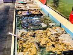 -日进一片海.生腌海鲜火锅.宵夜烧烤(三里屯总店)