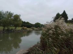 -九里河湿地公园