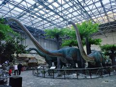 -国家自然博物馆