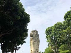 -圣淘沙天际线斜坡滑车