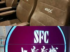 -SFC上影影城(港汇永华IMAX激光店)