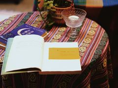 -看见远方·莫干遥远的山民宿