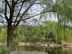 -鹦鹉寺公园