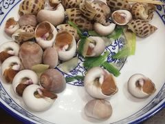 白灼香螺-兰边碗(鼓楼店)