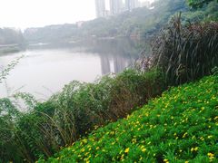 -重庆彩云湖湿地公园