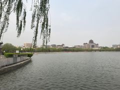 -莲花池公园