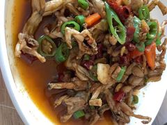 -龙小海荆沙鸽子店(瑞安街店)
