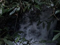 -莫里热带雨林景区