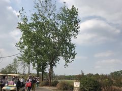 -白鹭湾湿地公园