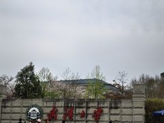 -武汉大学-樱园