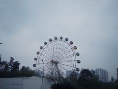 -泰宜担担面(黄泥塝总店)