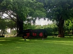 -万绿园