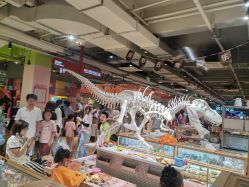 -宝燕乐园(闵行旗舰店)