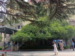 -青岛德国总督楼旧址博物馆