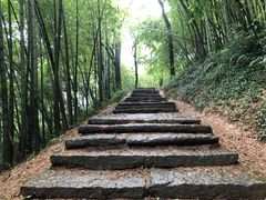 -西湖风景区十里琅珰-五云山