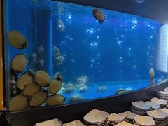-炉角·鲍鱼牛腩煲(国贸商城店)