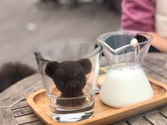 小熊拿铁-远山有窑
