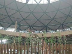 -上海滴水湖皇冠假日酒店