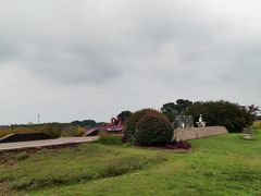 -西京湾花海