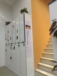 -润复丝·泽发防脱头皮管理