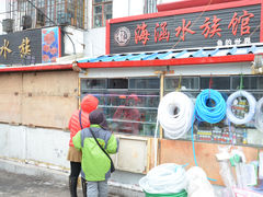 -哈尔滨道外花鸟鱼市场
