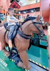 -卡通尼·Safari非洲探索乐园·生日会(金桥国际商业广场店)