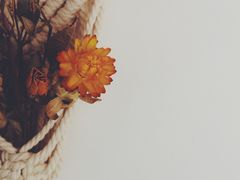 -AHAVA·Fang Baking Studio