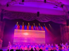 -勐巴拉娜西大剧院