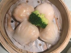-南枝记