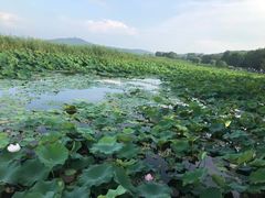 -龙寺生态园