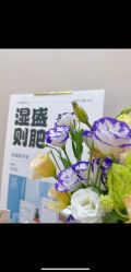 -Fundi张玉珊修身堂·indiba·BTL科技瘦身