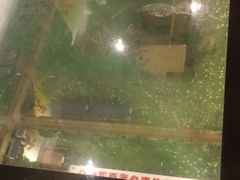 -八路军西安办事处纪念馆
