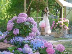 -上海鲜花港
