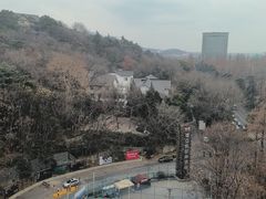 -北极阁公园