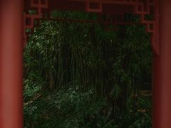 -望江楼公园