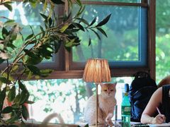 -咖法森林·咖啡  酒吧(天河店)