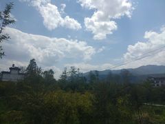 -才村湿地公园