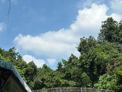 -深圳野生动物园