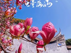 -乌山风景区
