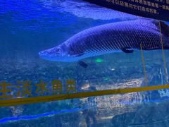 -成都浩海立方海洋公园